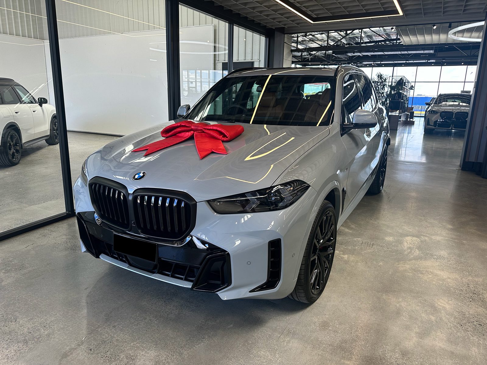 Our BMW X5 on pickup day, red bow on the bonnet